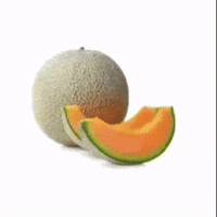 Cantaloupe GIF