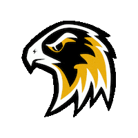 MuensterBlackhawks blackhawks munster ms4l muensterblackhawks Sticker