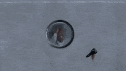 see you again GIF by Tyler, the Creator