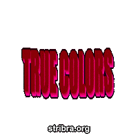 Explore True Colors Sticker by stribra