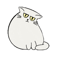 Black Cat Whatever Sticker