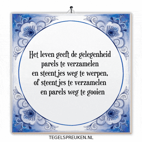 Humor Wijsheid GIF by Tegelspreuken.nl