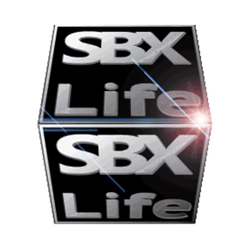SBXLife giphyupload snowboarding sbx snowboardcross Sticker