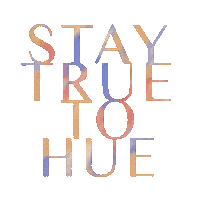 BexleyDesigns photography styled shoot photography workshops true to hue Sticker