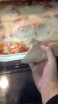 wshh GIF by Worldstar Hip Hop