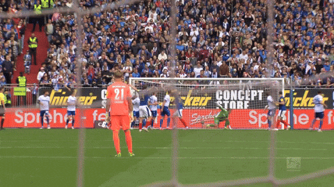 Kiel Ahoi GIF by Holstein Kiel