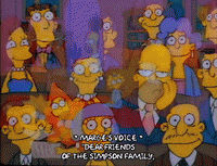 Season 1 GIF by The Simpsons