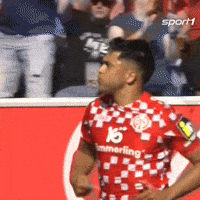 Mainz 05 Football GIF by SPORT1
