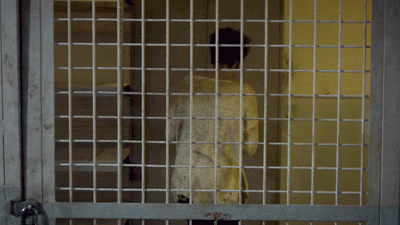 van helsing vampire GIF by SYFY