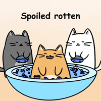 Cats Self Care GIF by MESA My Emotional Support Animal