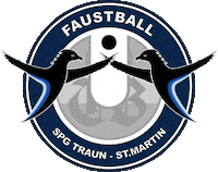 dsg-sanktmartin sport team austria osterreich Sticker