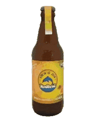 Kombucha Sticker by kombuchavivaodia