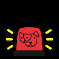 Siren Mhs GIF by maui humane society