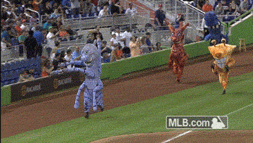 mia GIF by MLB