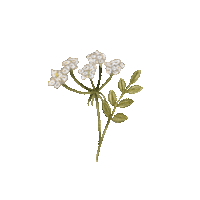 Flower Garden Sticker