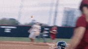South Carolina Gamecocks Gamecock Softball GIF by gamecocksonline
