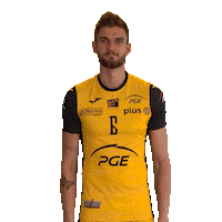 Belchatow Sticker by PGE Skra Bełchatów