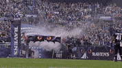 Happy National Football League GIF by Baltimore Ravens