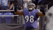 Happy National Football League GIF by Baltimore Ravens