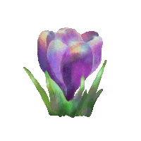 Blooming Spring Flower Sticker