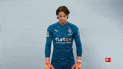 Looking Line Up GIF by Bundesliga