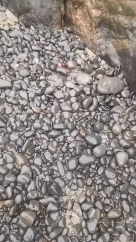 Rock Shaped Like Human Heart Found on Oregon Beach