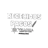 Velloziaoficial recebidos pagos vellozia Sticker
