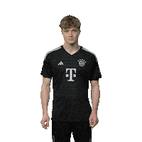 Football Link Below Sticker by FC Bayern Munich