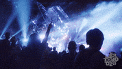 lolla GIF by Lollapalooza
