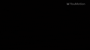 Animated Paws Transitions
