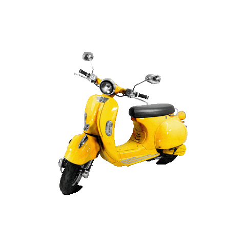 Varaneo sustainability electric scooter roller Sticker
