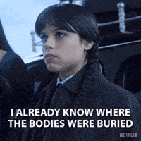 GIF by NETFLIX