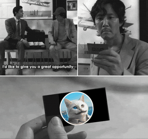 Black And White Cat GIF by vankedisi