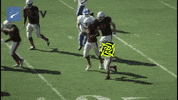 Cphf GIF by Copenhagen Flames