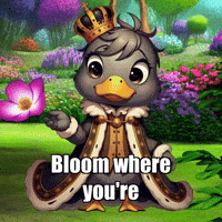 Wisdom GIF by sirduckbeth