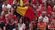 GIF by Volleyball World