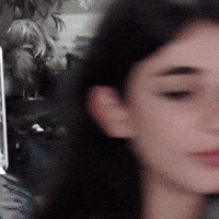 laylawa cat omg wtf huh GIF