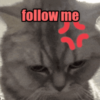 Follow Me Please GIF