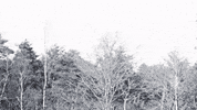 Black And White Movie GIF by BeNatural