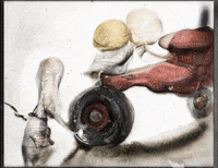 Lab Onf GIF by Alex Boya