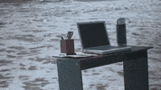 anerkjendt  GIF