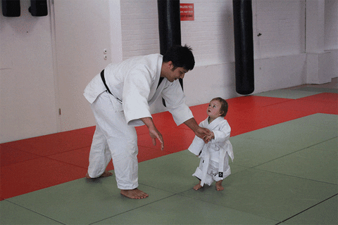 redtigerclub giphyupload throw martial arts judo GIF