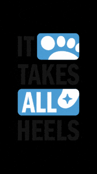 Unc GIF by UNC-Chapel Hill