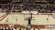 ncaasports ncaa volleyball texas longhorns GIF
