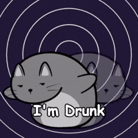 Drunk Out Of It GIF by MESA My Emotional Support Animal