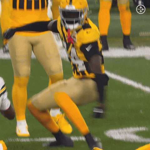 Excited Football GIF by Pittsburgh Steelers