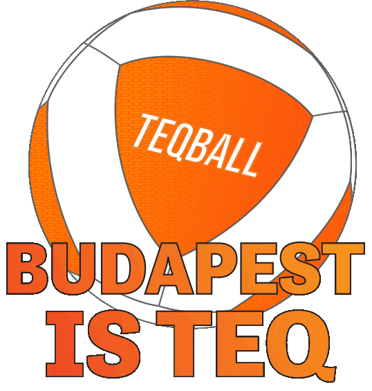 Teqtour Sticker by Teqball