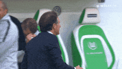 football soccer GIF by VfL Wolfsburg