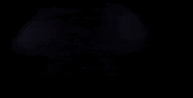 Grizzly Bear Sport GIF by Seattle Sounders