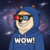 Shiba Inu Wow GIF by Doge Pound